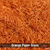 Orange Paper Grass