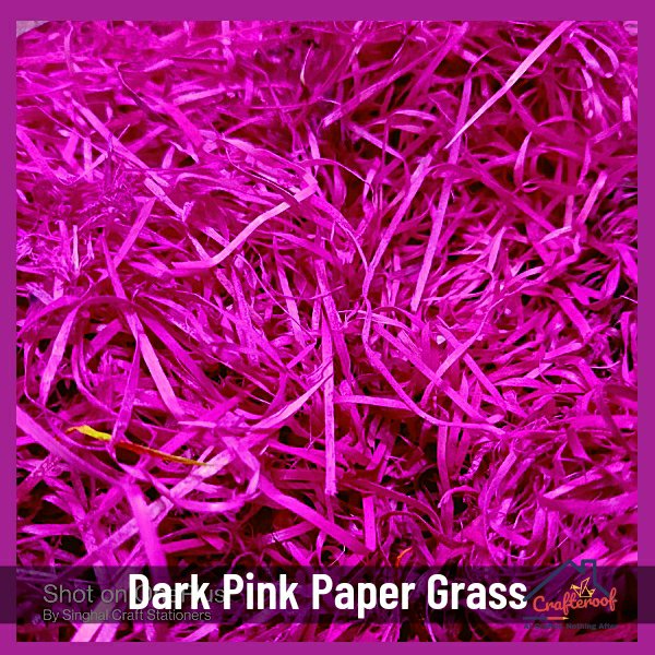 Pink Paper Grass