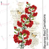 Reverse Red Carnations - Transfer Me