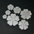 Big Rose Die Set