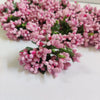 Light Pink Pollen Flower-144pc