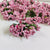 Light Pink Pollen Flower-144pc