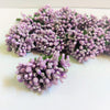 Purple Pollen Flower-144pc