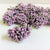Purple Pollen Flower-144pc