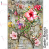Garden Beauty - Transfer Me