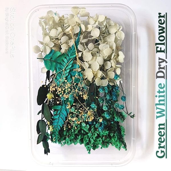 Green-White Dry Artificial Flower