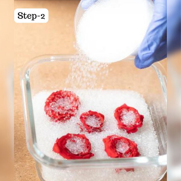 EPOKE Flora Preserve - Flower drying Silica (100g)