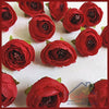 Red Peony Flower -20pcs
