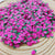 Strawberry Slices