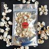 Sea Shell