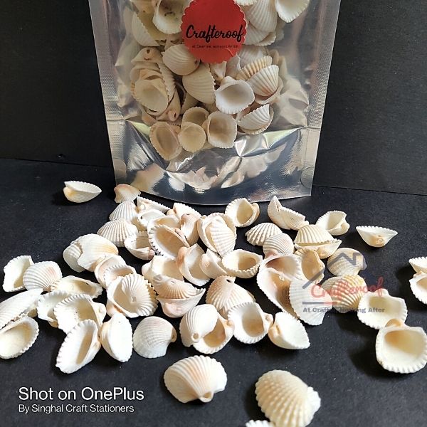Sea Shell