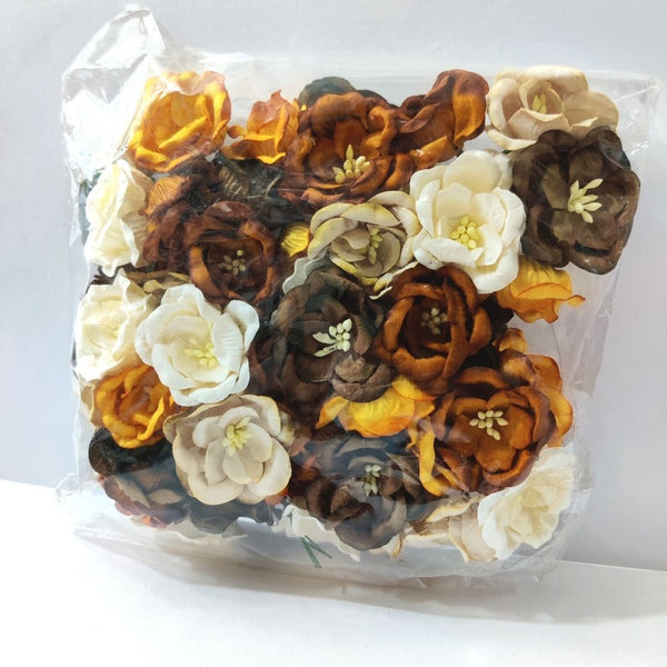 Brown Family Poppy Flower