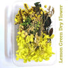 Green Dry Artificial Flower