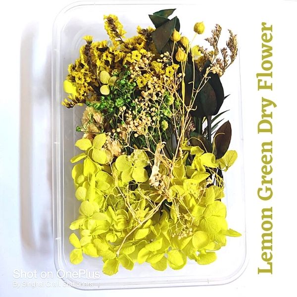 Green Dry Artificial Flower