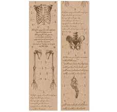 Retro Skeleton - Journal Tapes