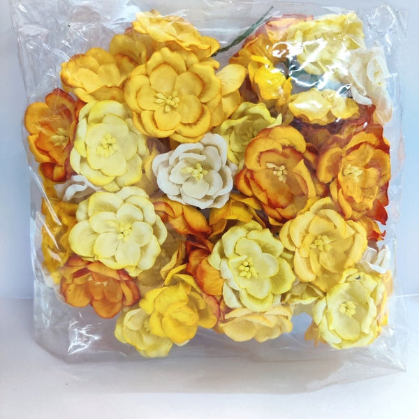 Yellow Family Poppy Flower