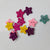 Star Emblishment