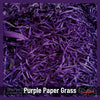 Purple Paper Grass