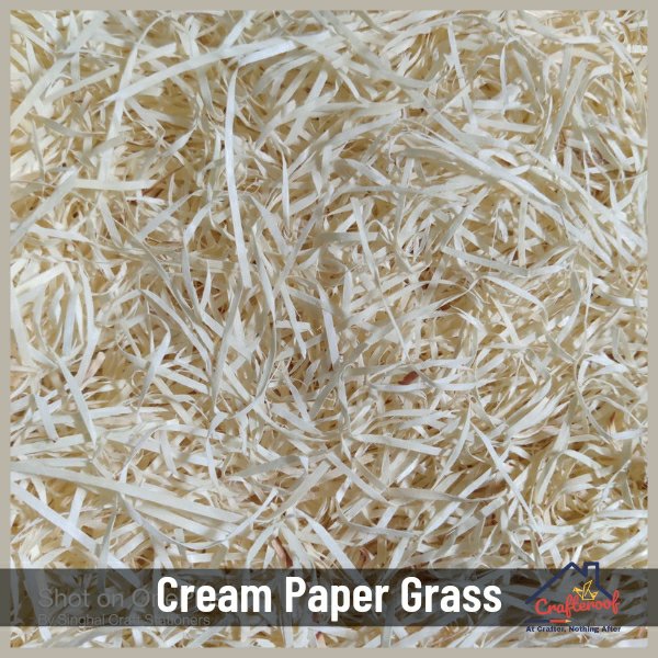 Cream Paper Grass