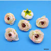 Creamy Pink Peony Flower - 20pcs/pack
