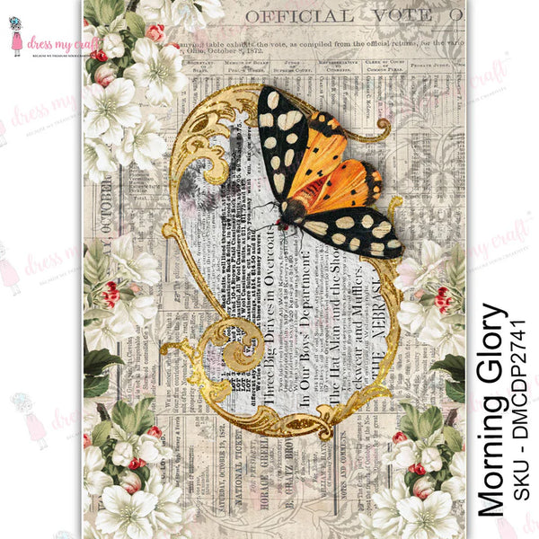 Morning Glory - Transfer Me