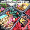 Dry Artificial Flower Assorted Shades