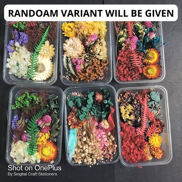 Dry Artificial Flower Assorted Shades