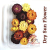 Dry Artificial Sun Flower