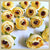 Mellow Peony Flower - 20pcs/pack