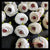White Peony Flower - 20pcs