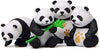 Panda MiniatureElevate Collegian