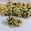 Cream Yellow Pollen Flower-144pc
