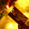Star Photo Clip Lights