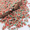 Watermelon Slices