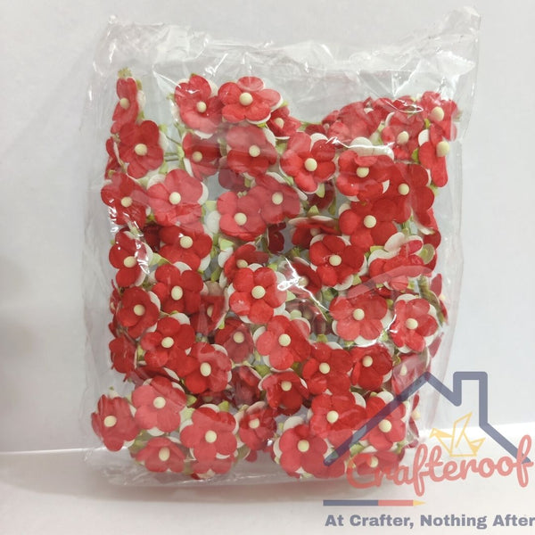 Red n White Mulberry Flower - 100pc